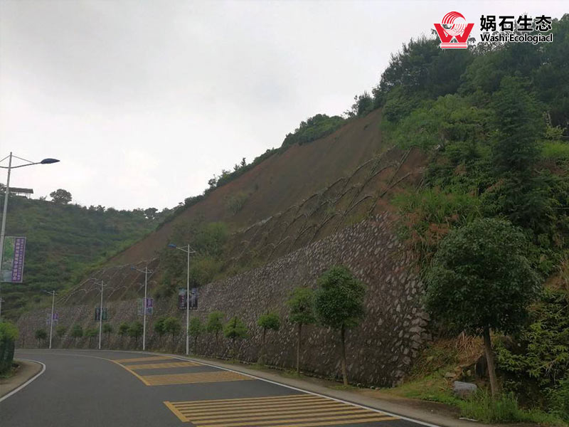 福建承接山体护坡绿化施工团队